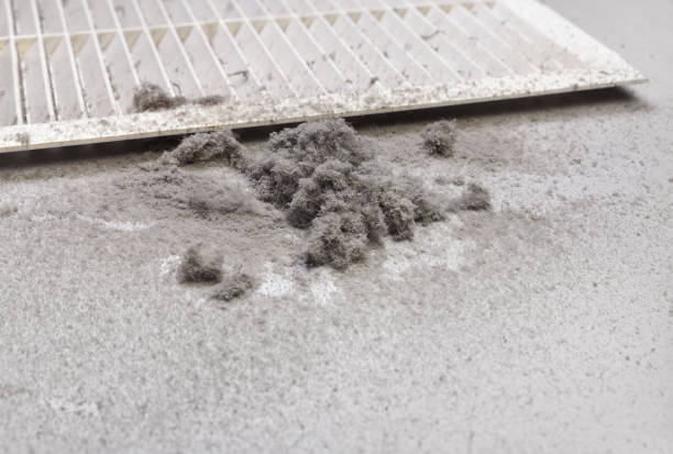 Best HVAC Duct Inspection Services  in Bruce, MS